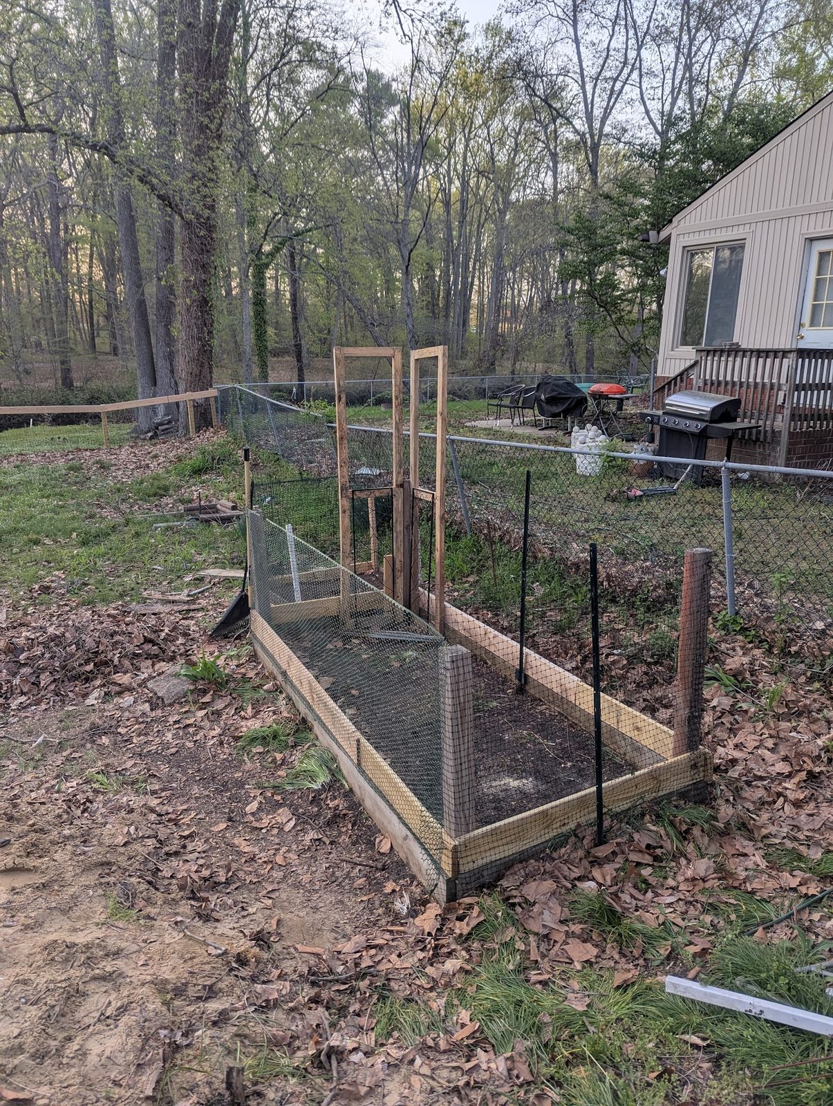 Raised garden beds with wire fencing, expanded with more beds